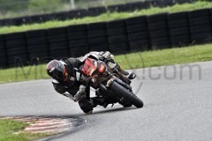 DG20240928_03661